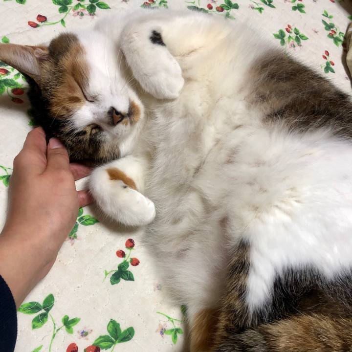 1079414b 91e7 45a0 89db 430cfe8d63d4 1578152231744