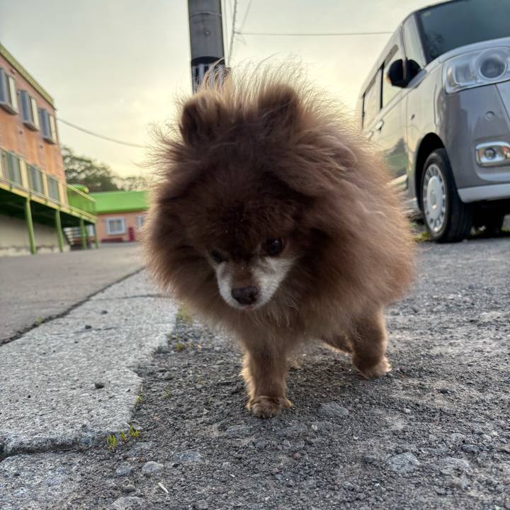 10794a06 61a2 4974 aa5d 8393fdc2b6d0 1747426033812