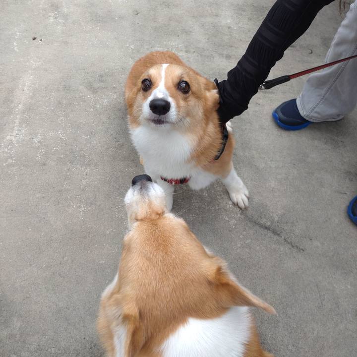 10795e21 a92b 46c1 8033 6dee836c1dfc 1663593087133