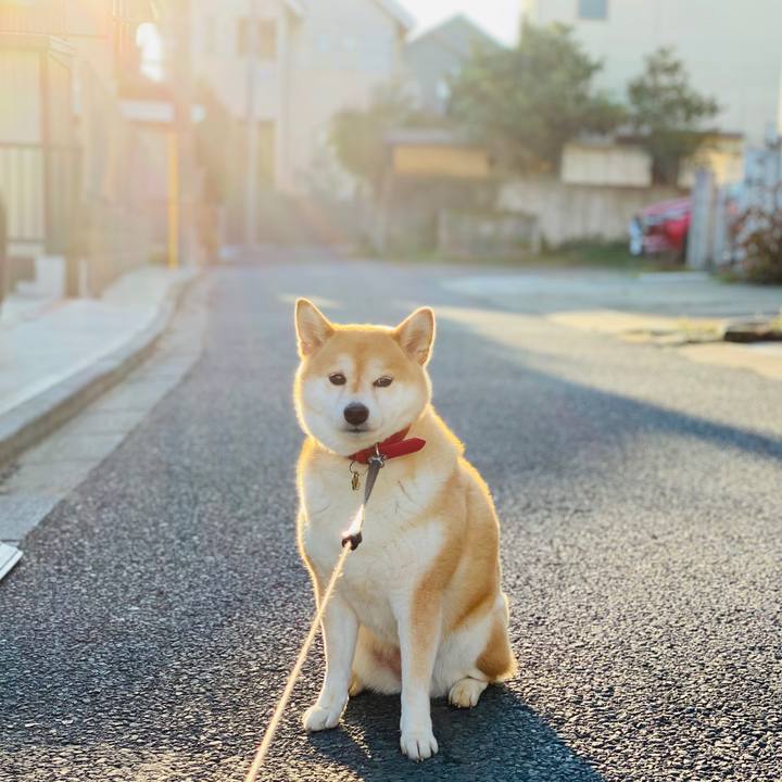 107970b0 5b2e 4c58 b797 959603c3517e 1580860895161