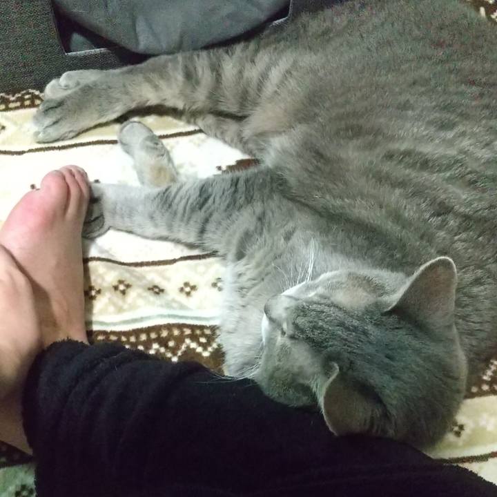 107987ea 6e87 450c 8e62 74f7af04094e 1669118559645