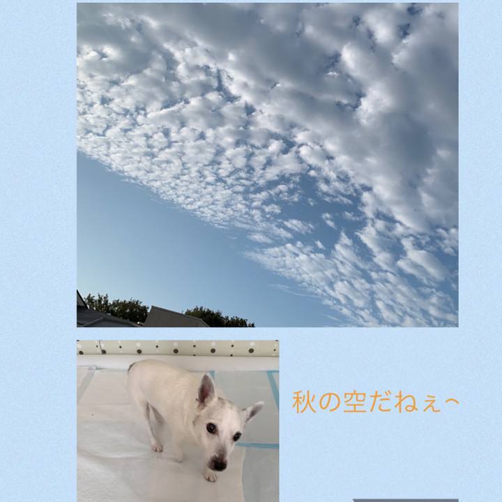 1079cf25 b2b1 47e8 a2ab 62c381cdc3d5 1601678341592