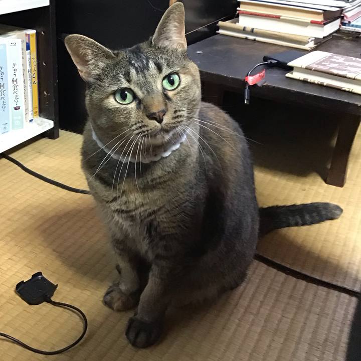 107a01e5 e435 4c34 ae6d fb1a2876b580 1725017752883