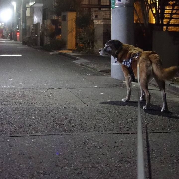 107a13c1 4fe3 4a55 9093 1cd4d143056f 1547378925281