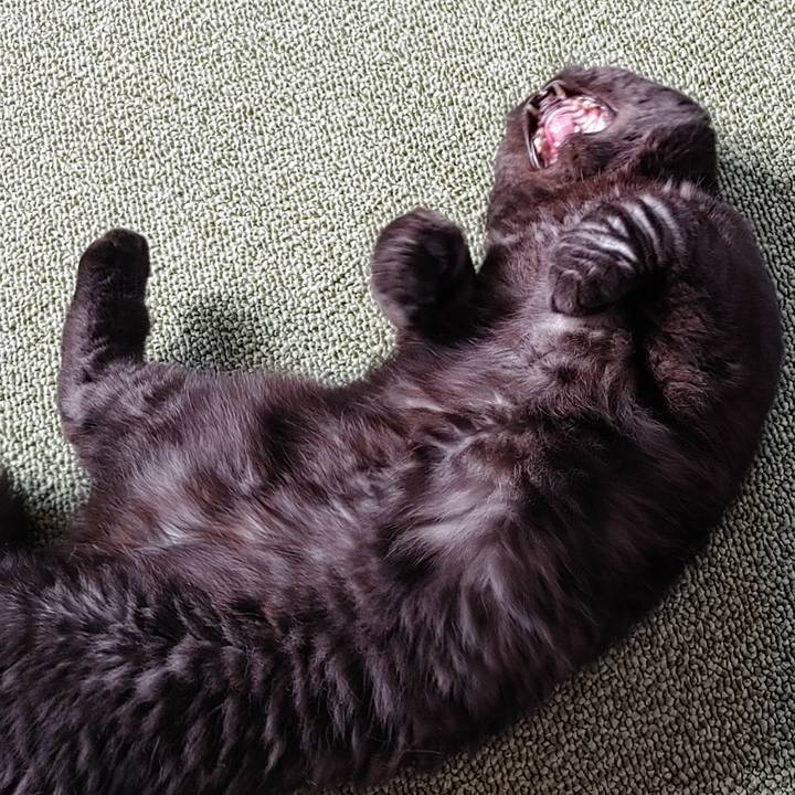 107a5c1b 9303 45f0 8cf8 2824fe05cffe 1661140894461