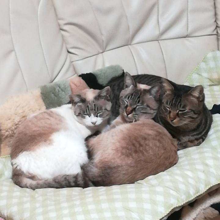 107a92ed 09d2 4d9f 8f21 28428b8dae3a 1557011825171