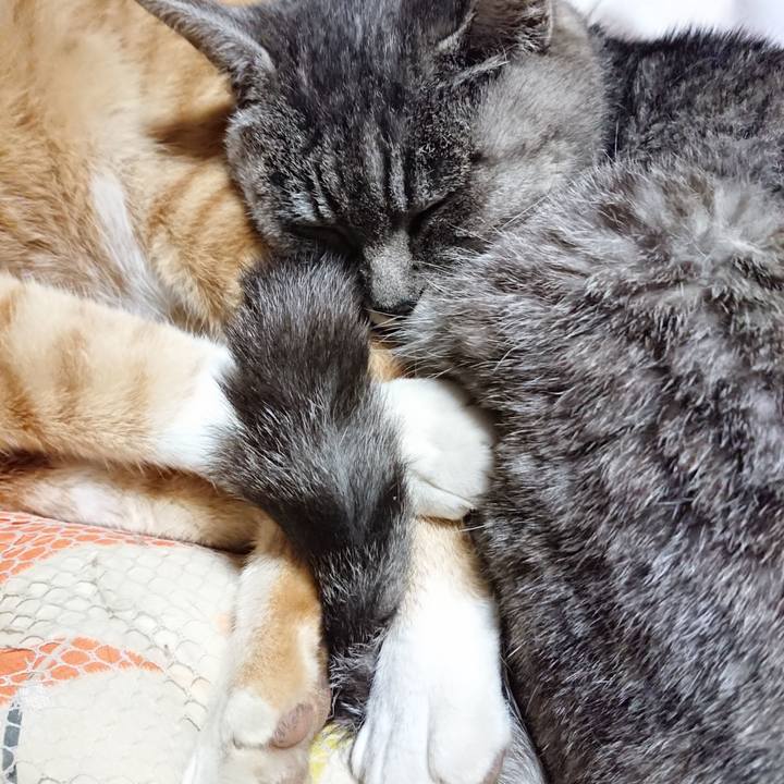 107aab67 2d41 445a 8475 ef360b4c06e1 1574689073460