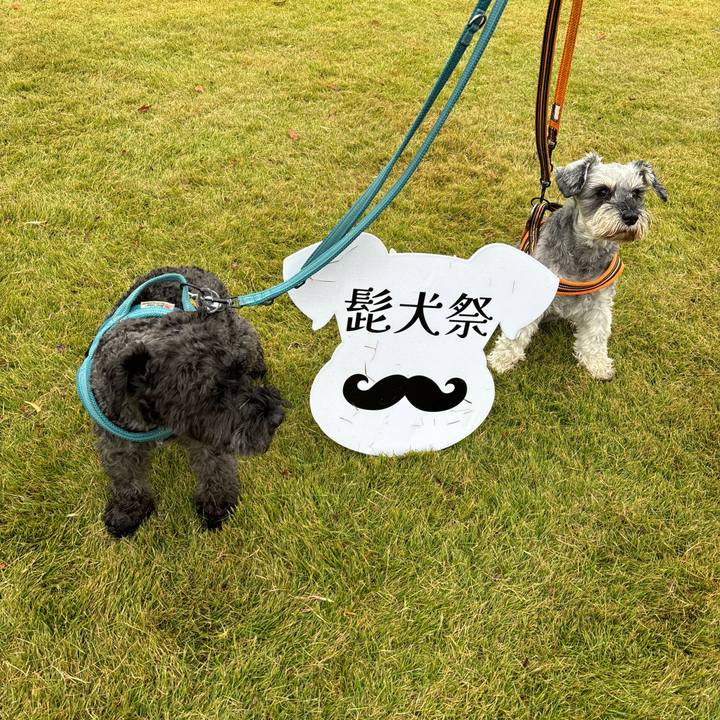 107ae6f0 f7d7 40f1 998d c041e33098da 1699754353423