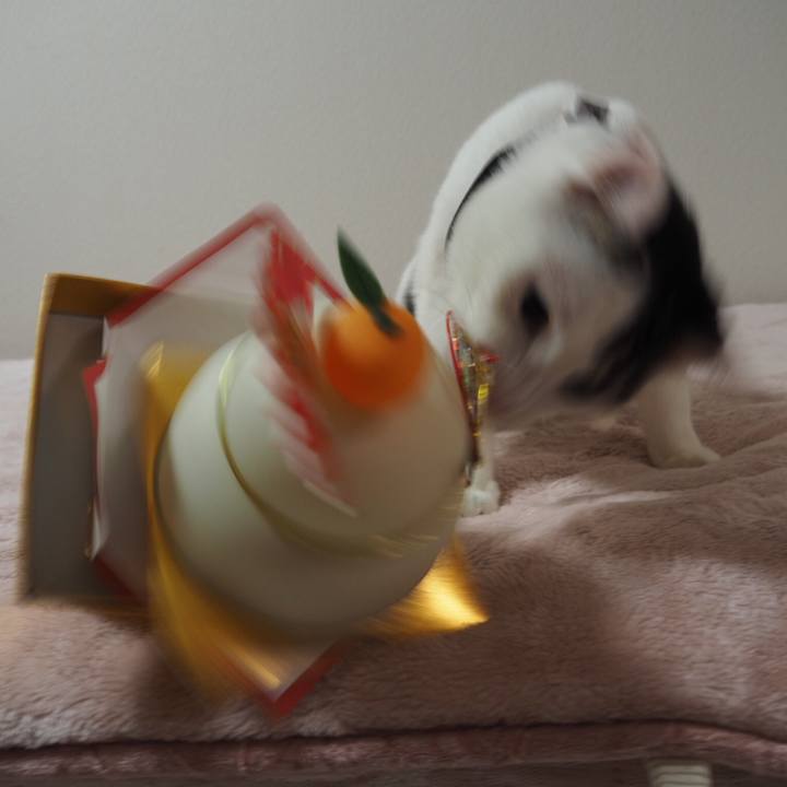 107af551 c87f 4d89 aa9a 9875cbd5dacd 1514774282933