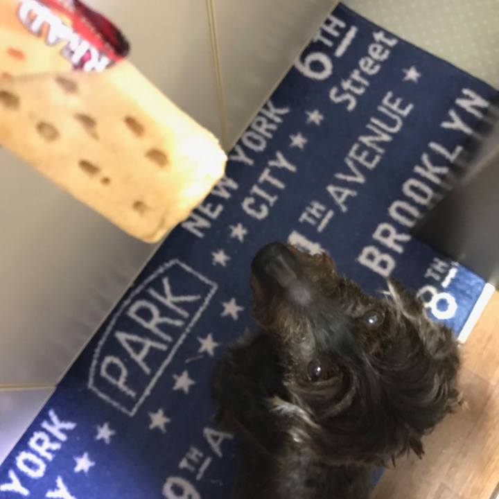 107b53a0 568a 420b 8f7b c1c23d808868 1538481596505