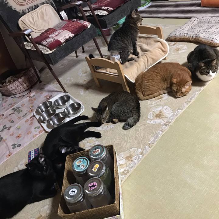 107ba0cb 80a9 4690 9582 0e5c5b092d92 1541982489738