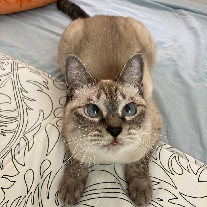 107ba6fc 9750 4972 afd7 63b02f44fe45 1631419040534