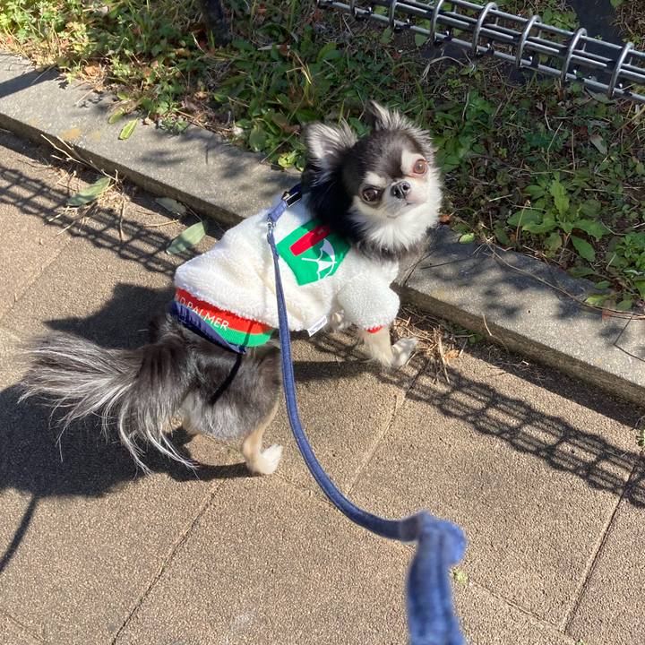 107bba69 384f 416b 8241 f44153e11e59 1675608555912