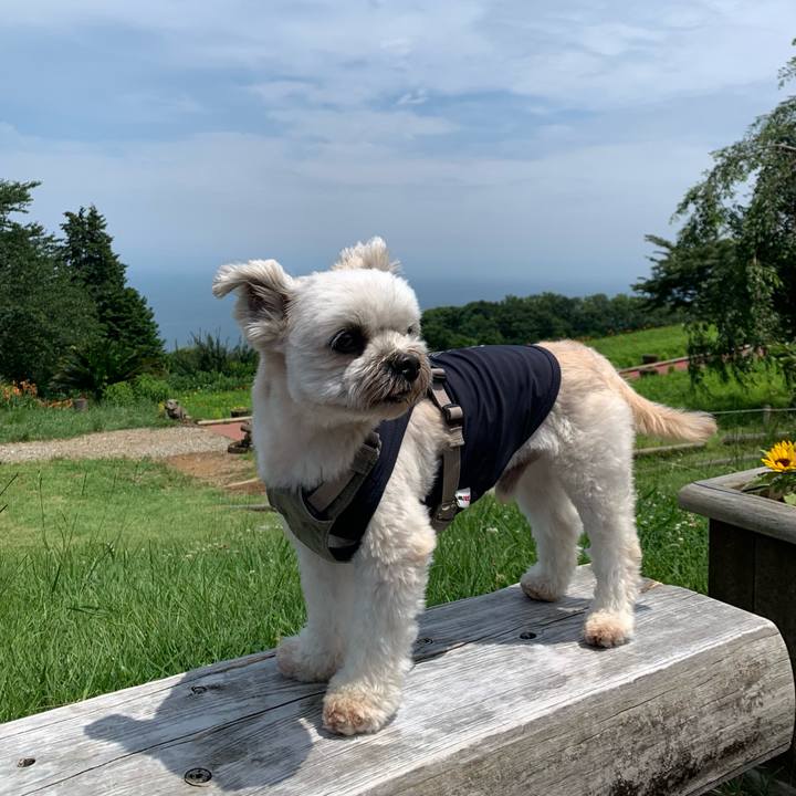 107bbd01 c109 4561 9d1e 9b0fda9c9d0b 1688383832360