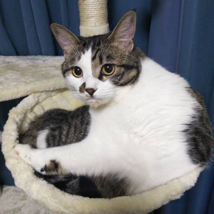 107bc03e abfa 4f1d 9478 c55daef2ff78 1631099840947