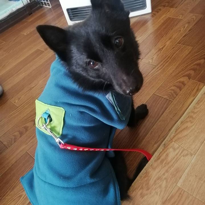 107bc8a3 8b5f 400d 8e58 4d7820c5735c 1641103222240