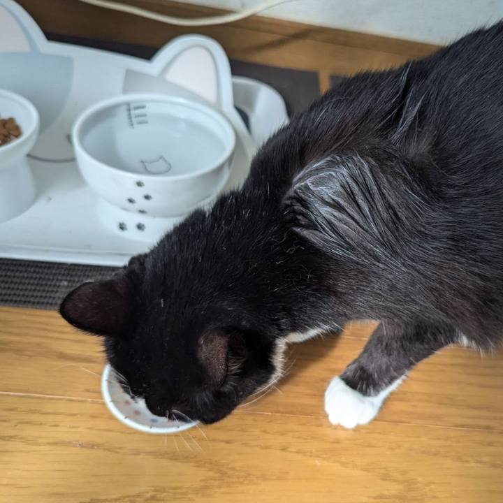 107bec42 e5be 48cb 86bf 312cad6d7f3a 1727774981113