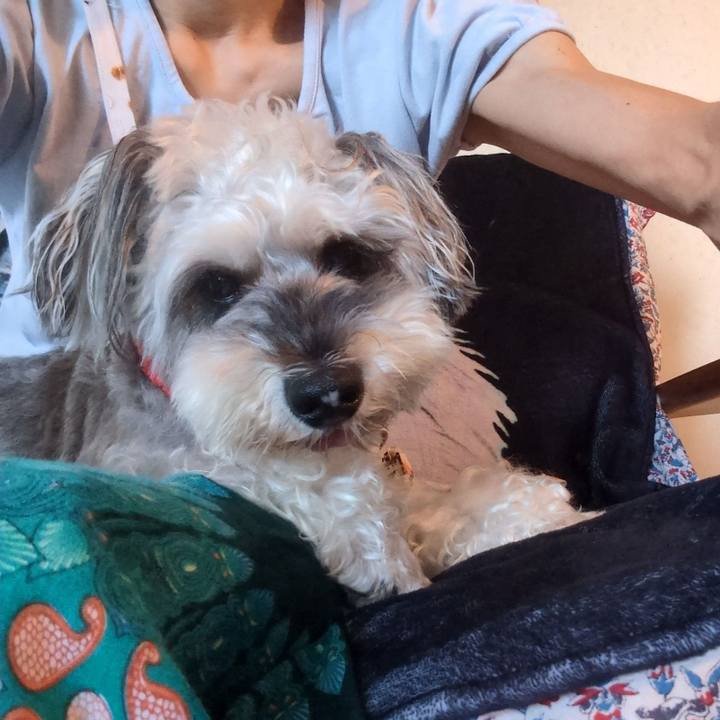 107bfb18 0b7c 4740 9bc1 a904c7f375aa 1759063785822