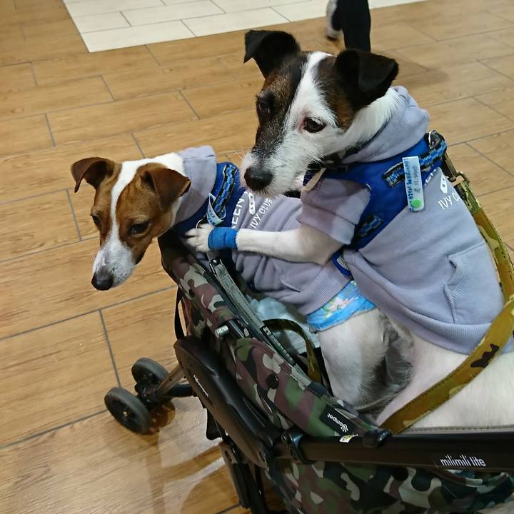 107bff57 bb42 4d2f b0e1 4c59d0798b01 1546326828322