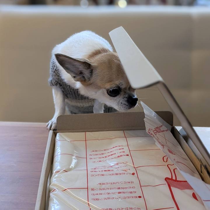 107c0af4 0b9d 417f 84a9 3079f661a71b 1766985343285