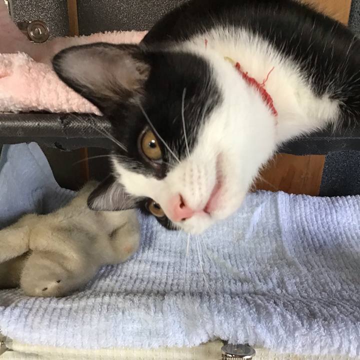 107c1ef1 2d65 491e bc4d 530110136d1f 1627794756989