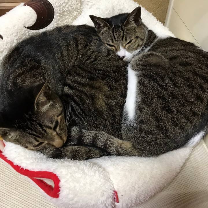 107c2a34 53cb 4aed 973f c6ce7a5881ff 1520126205102