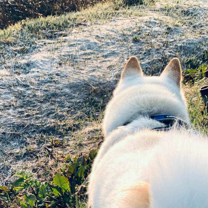 107c407c fcdb 4d67 bceb 2be76c4bf2b8 1651438034581