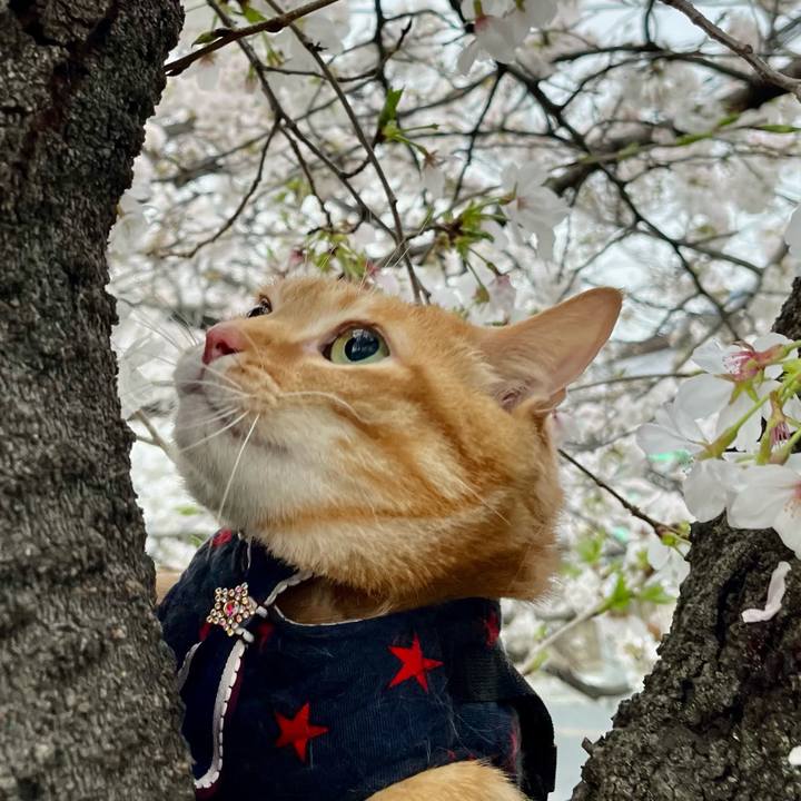 107c449d c6ae 41d6 8d24 6180b0221149 1679789211886