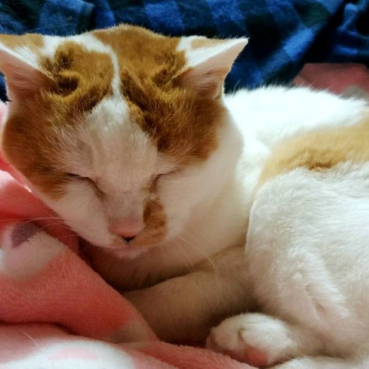 107c54e1 912f 42dd 80a7 be53e0ec9f12 1522074204836