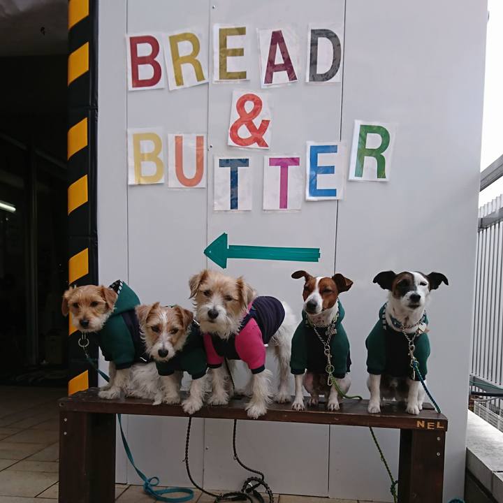 107c84ae a134 4fc0 b36f 06c9c474b4b0 1607920952292