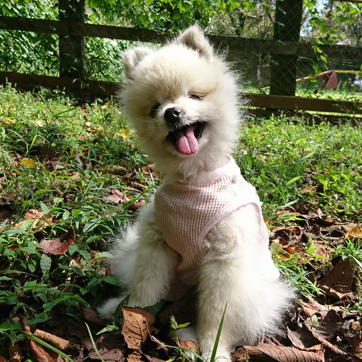 107ce6d2 b1af 4f0d 8ef3 1f8203f0cbbf 1537236604691