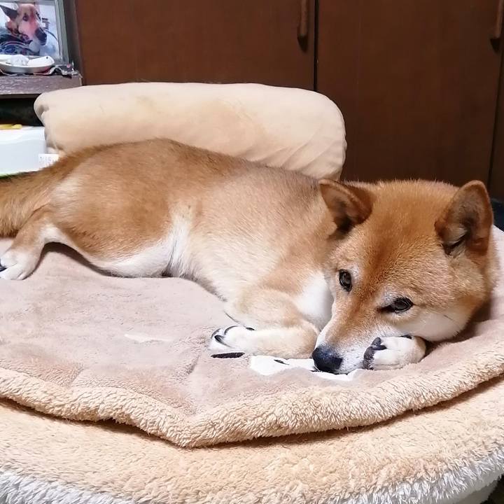 107ce734 3f94 4547 ab5b d9563ac69388 1592572491086