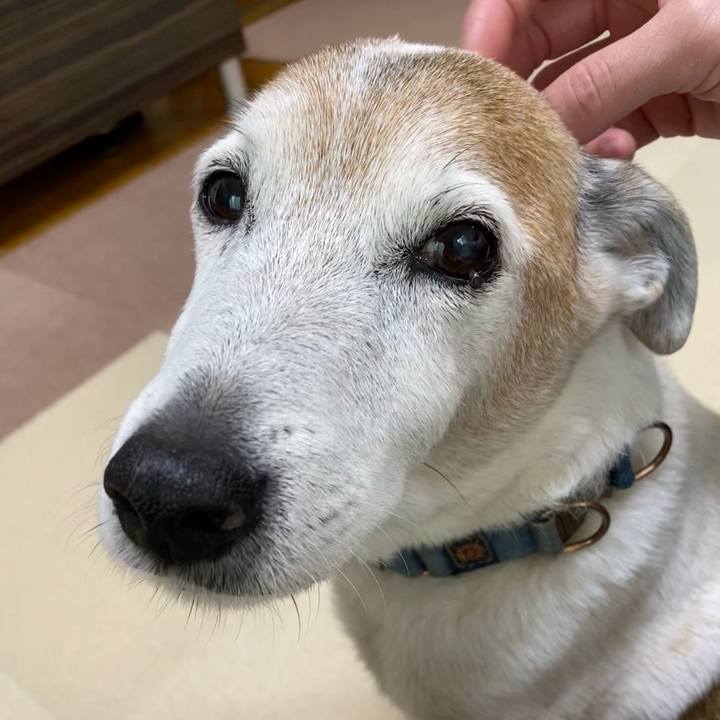 107cf299 7a03 4de3 97b2 5b798512e84b 1642989978584