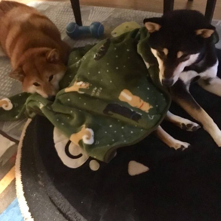 107d08a2 afbb 42ce 8a09 744879490dac 1552622304251