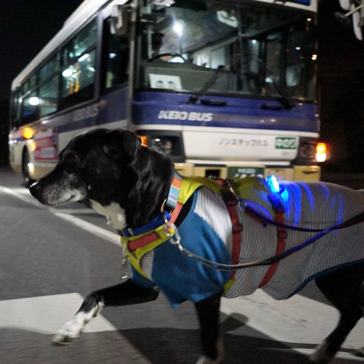 107d2c1a 5b30 44bc 8310 0206a24bd608 1770987061389