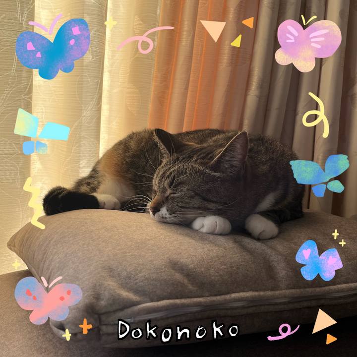 107d560c 6052 4694 8ccd 47f604620dd0 1711194618998