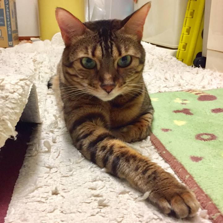 107d7f25 ecbe 4f17 a89c afb11283db42 1509076941407