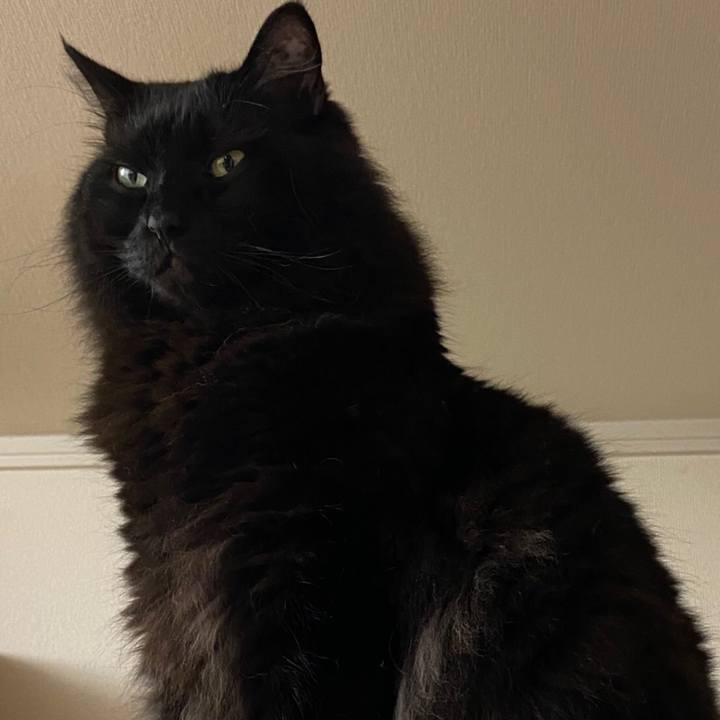 107d8bec d547 4422 8bf0 bc7d95a6804a 1598849365826