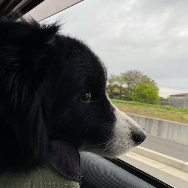 107db5c9 273f 438c 9965 0ddbf9618de9 1681855298137