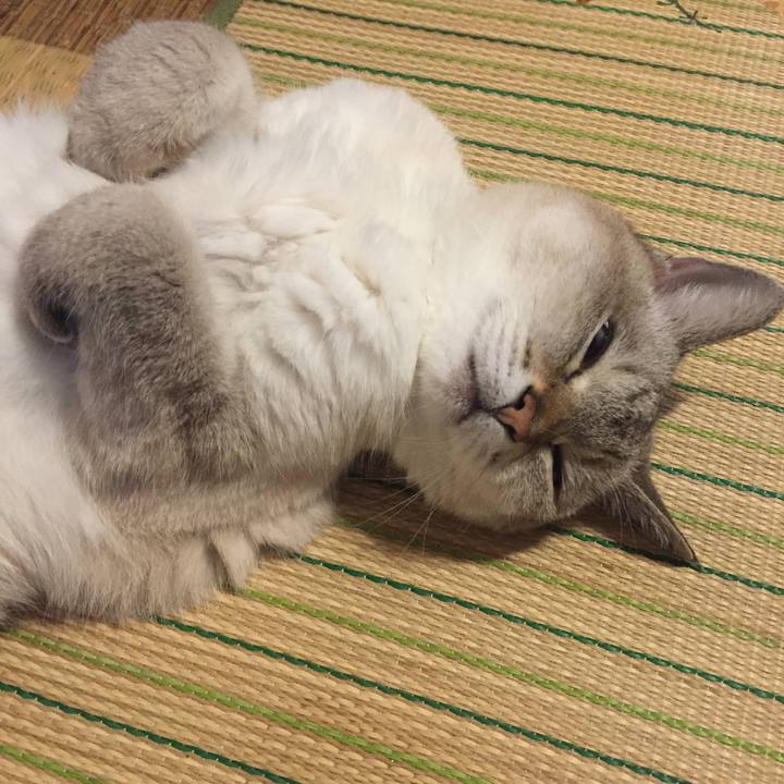 107dce71 7c1b 4cf1 932b fbf659ead603 1566770569449