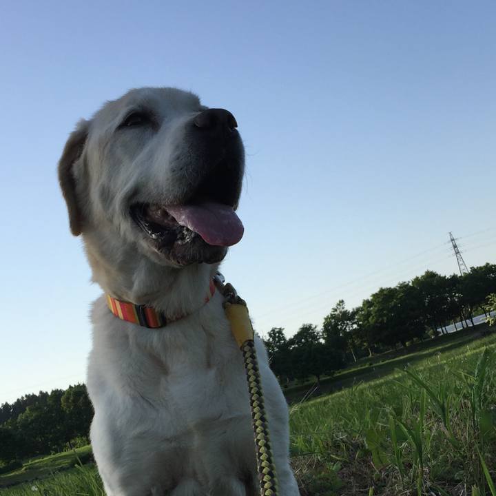 107dede9 a60f 4937 ac1d 7828dc5ad1dc 1527329643791