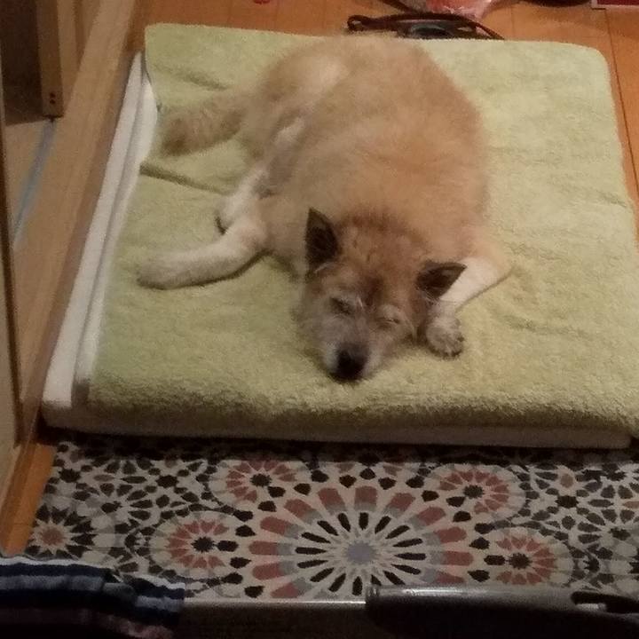 107e6ec6 3a4d 479b a19f 1d9180e28e9d 1600702015309