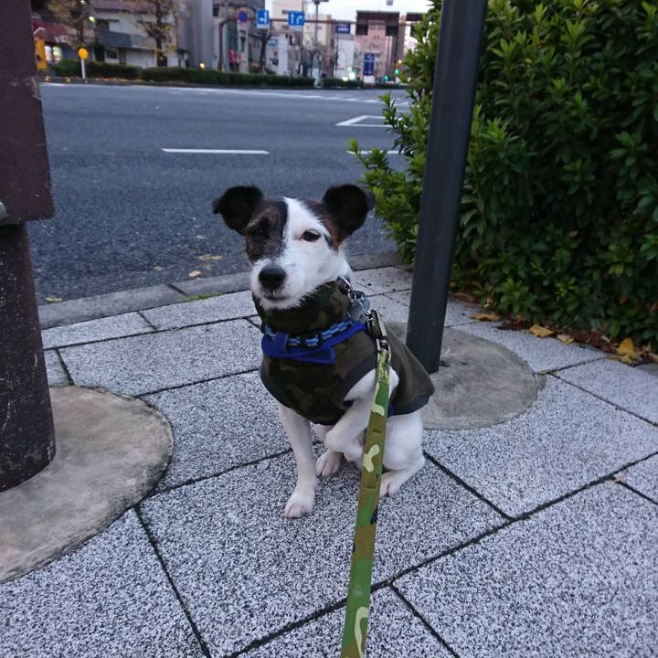 107ebdbc 020b 4327 beba 4e5e73c67fa9 1512855991092