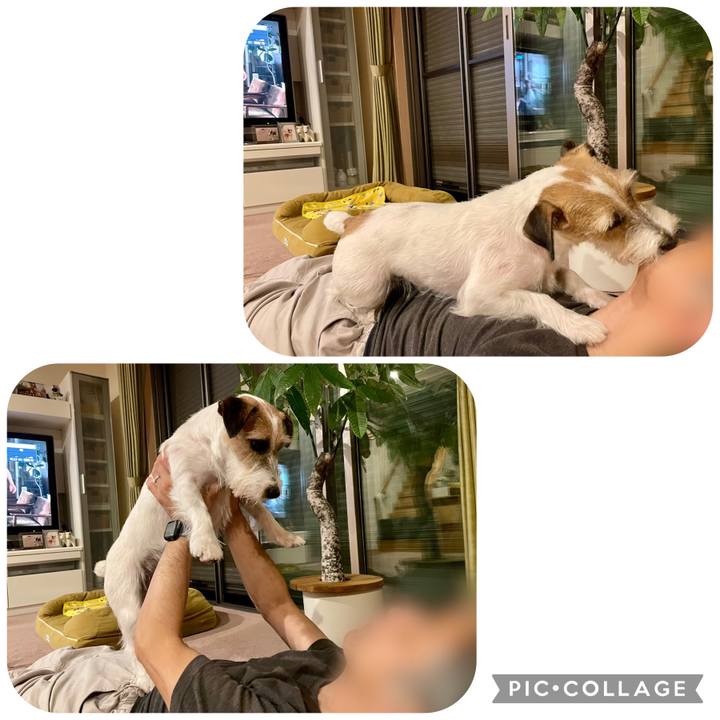 107ebdf0 b606 41bc bc9f 18f18fde4e4f 1655813142299