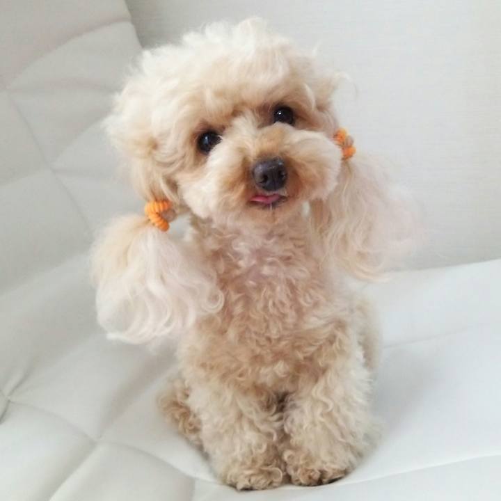 107ecf0a 7f42 4523 9405 1cb8a8188b91 1531284627749