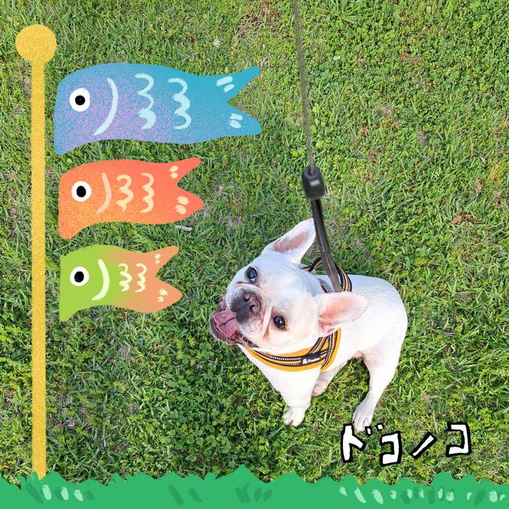 107ee5c2 ee3a 437a 979c 11fb6fa78931 1714915441013