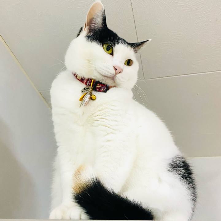 107f0ee1 4b3d 4d4a bfe3 b343a31605e5 1713880616790