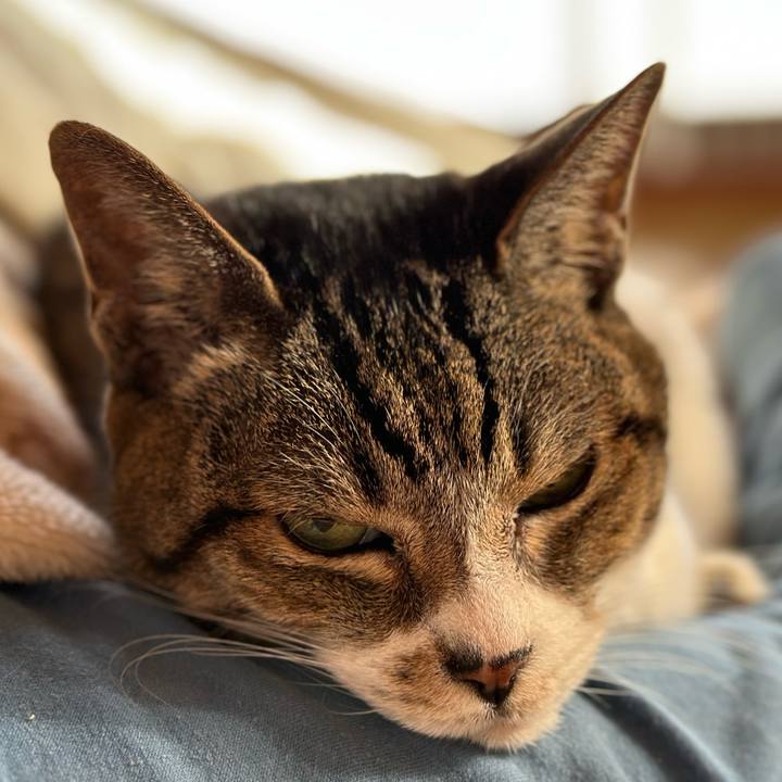 107f2c0a f755 444f 9d95 d303b1c3bf8e 1670121539313