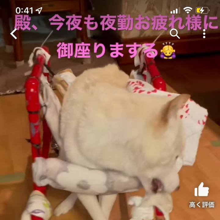 107f36cf 038d 4edd 8c52 ddaaeec0f662 1670082199541