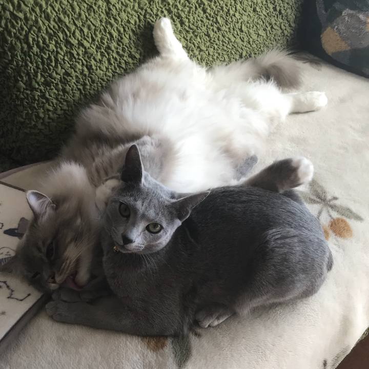 107f375a 9878 4535 bc67 5370fe789a07 1515045498102